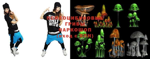 метадон Алексин