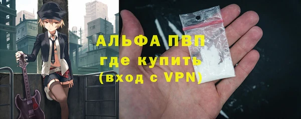 метадон Алексин