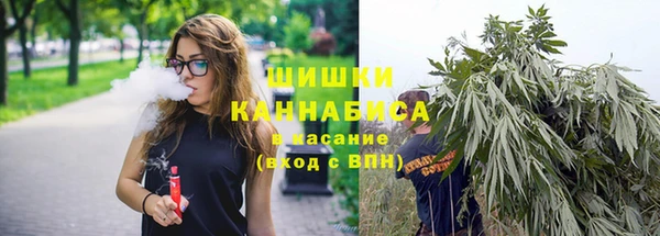 шишки Алексеевка